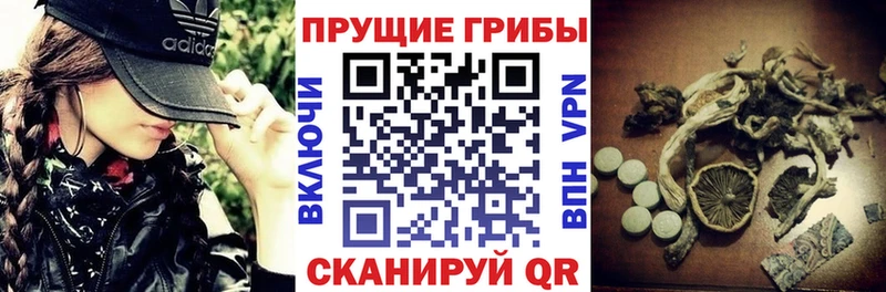 цена   сайты даркнета телеграм  Псилоцибиновые грибы Psilocybine cubensis  Макарьев 
