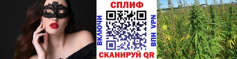 mega онион  Макарьев  Бошки марихуана гибрид 